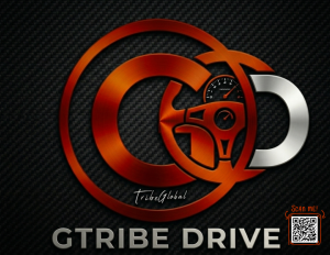 Consultation - GTribe Drive